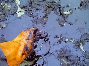 США: вчені розробили недорогого робота для очищення океанів від розливів нафти США: вчені розробили недорогого робота для очищення океанів від розливів нафти