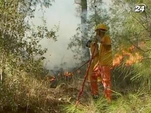 Поблизу Анталії палають лісові пожежі Поблизу Анталії палають лісові пожежі