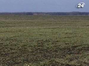 В Україні планують засіяти озимими 10 млн. га. В Україні планують засіяти озимими 10 млн. га.