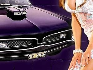 США: жінку затримали за перегляд порно і мастурбацію за кермом США: жінку затримали за перегляд порно і мастурбацію за кермом