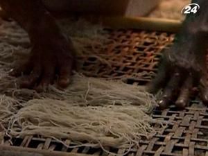 Макарони, як засіб знизити вірогідність розвитку раку Макарони, як засіб знизити вірогідність розвитку раку