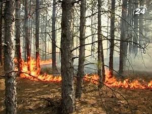 В Україні зберігається висока пожежонебезпека - 30 серпня 2010 - Телеканал новин 24