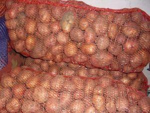 Навесні картопля подорожчає на 50% Навесні картопля подорожчає на 50%