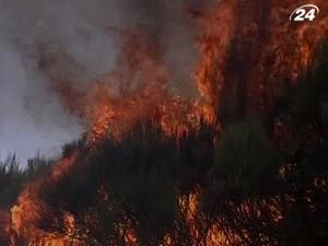 У Португалії - друга хвиля лісових пожеж