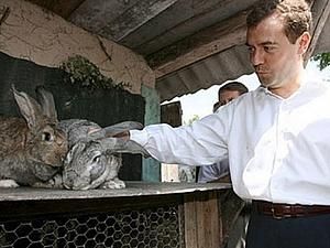 Медведєв: дефіциту продовольства в країні немає Медведєв: дефіциту продовольства в країні немає