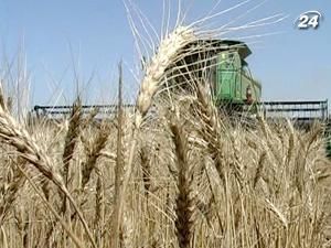 Сільськогосподарські підприємства завершили збір ранніх зернових Сільськогосподарські підприємства завершили збір ранніх зернових