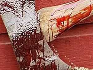 Вінничина: пенсіонер зарубав дружину за відсутність диплому про освіту і повісився Вінничина: пенсіонер зарубав дружину за відсутність диплому про освіту і повісився