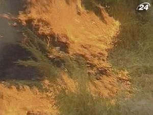 У Росії нова хвиля лісових пожеж У Росії нова хвиля лісових пожеж