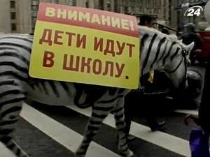 Москва: ДАІ перефарбувала коней в зебр Москва: ДАІ перефарбувала коней в зебр