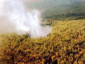 В результаті пожеж у Волгоградській області загинули 8 людей