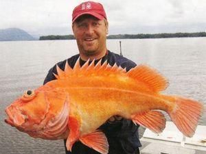 Стів Возняк: 1000 різних риб за 10 років (ФОТО) Стів Возняк: 1000 різних риб за 10 років (ФОТО)