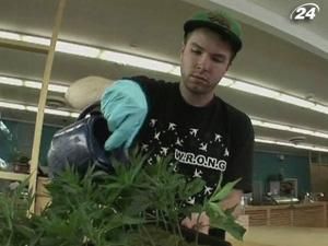 У Каліфорнії узаконять оптову торгівлю лікарською марихуаною У Каліфорнії узаконять оптову торгівлю лікарською марихуаною