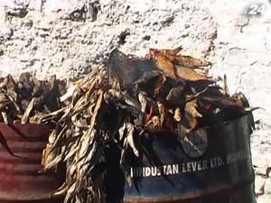 На Херсонщині правоохоронці вилучили на ринках понад 12 тонн риби На Херсонщині правоохоронці вилучили на ринках понад 12 тонн риби