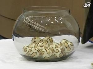 Стали відомими пари учасників 1/16 фіналу футбольного Кубка України Стали відомими пари учасників 1/16 фіналу футбольного Кубка України