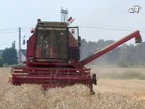 Процес закупівлі зерна державою завершується Процес закупівлі зерна державою завершується