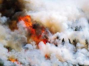 У штаті Колорадо лісові пожежі знищили 150 будинків У штаті Колорадо лісові пожежі знищили 150 будинків