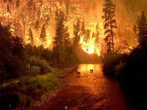 Росії загрожують пожежі у Казахстані Росії загрожують пожежі у Казахстані