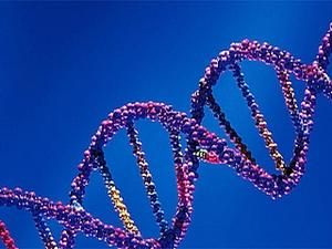 Вчені розшифрували геном ірландців Вчені розшифрували геном ірландців