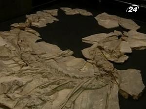 Іспанські палеонтологи виявили новий вид динозаврів Іспанські палеонтологи виявили новий вид динозаврів