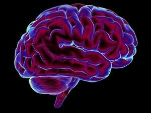 Американські вчені навчились виявляти шизофренію на ранніх стадіях розумового розвитку Американські вчені навчились виявляти шизофренію на ранніх стадіях розумового розвитку