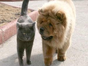 Харківська область отримала в бюджет 1,2 млн. грн. з податку на рекламу Харківська область отримала в бюджет 1,2 млн. грн. з податку на рекламу