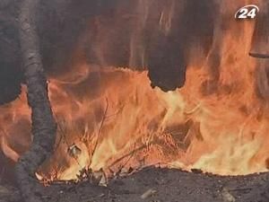 Казахстан потерпає від лісових пожеж Казахстан потерпає від лісових пожеж