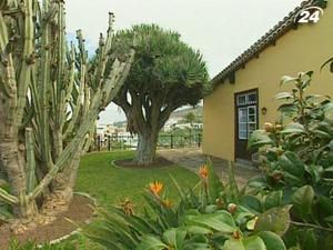 Будинок на Тенеріфе – втілення мрії у реальність Будинок на Тенеріфе – втілення мрії у реальність