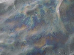 В Івано-Франківській області стався витік нафти, яка потрапила в річку В Івано-Франківській області стався витік нафти, яка потрапила в річку