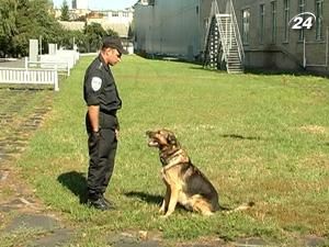 Правоохоронці готують службових псів до “Євро-2012” Правоохоронці готують службових псів до “Євро-2012”