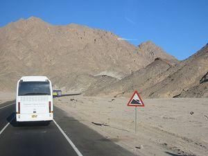 В Єгипті в ДТП загинули 11 чоловік В Єгипті в ДТП загинули 11 чоловік