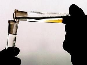 Нова Зеландія: у супермаркетах з’явилась синтетична сеча Нова Зеландія: у супермаркетах з’явилась синтетична сеча