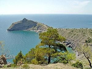 У Криму дозволили гуляти у лісах У Криму дозволили гуляти у лісах