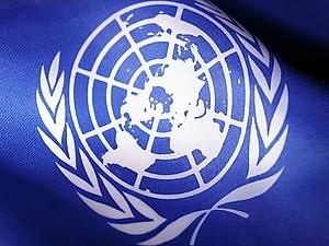 ООН направила в Нігерію експертів для розслідування отруєння дітей свинцем ООН направила в Нігерію експертів для розслідування отруєння дітей свинцем