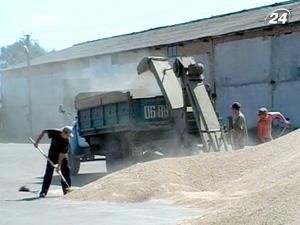 Мінагрополітики: врожай зерна становитиме 38 млн. т Мінагрополітики: врожай зерна становитиме 38 млн. т