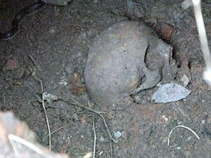 В Одесі в житловому будинку виявили склеп В Одесі в житловому будинку виявили склеп