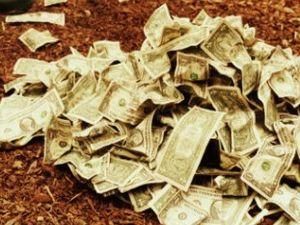 В Івано-Франківську продавали органи в Азербайджан В Івано-Франківську продавали органи в Азербайджан