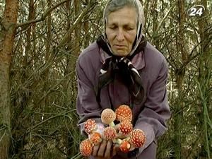 Волинська знахарка зцілює людей настоянкою на мухоморі Волинська знахарка зцілює людей настоянкою на мухоморі