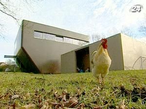 Строгі контури та незвичні архітектурні особливості творять унікальний стиль будинку Строгі контури та незвичні архітектурні особливості творять унікальний стиль будинку