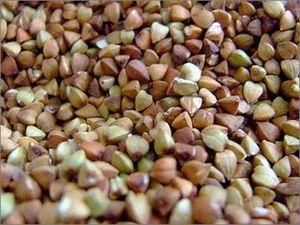 Казахстан забороняє експорт рослинної олії та гречки Казахстан забороняє експорт рослинної олії та гречки