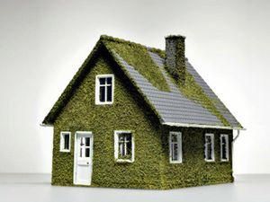 В Америці дизайнер збудував екологічне житло з конопель В Америці дизайнер збудував екологічне житло з конопель