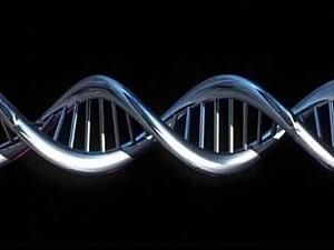 Британські вчені знайшли ген, який відповідає за нервову систему Британські вчені знайшли ген, який відповідає за нервову систему