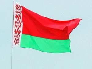 За головне крісло Білорусі боротимуться 17 кандидатів За головне крісло Білорусі боротимуться 17 кандидатів