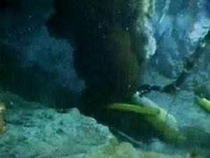 Адміністрацію Обами звинувачують у прорахунках при ліквідації витоку нафти Адміністрацію Обами звинувачують у прорахунках при ліквідації витоку нафти