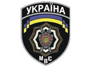 Міліція порушила кримінальну справу у зв’язку з побиттям на фестивалі