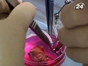 Прорив у галузі трансплантації Прорив у галузі трансплантації