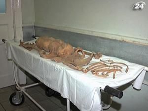 У Донецьку на місці нового вокзалу викопали людські кістки У Донецьку на місці нового вокзалу викопали людські кістки