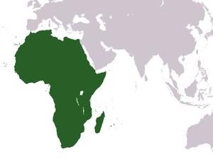 Африка: економіка зростає, демократія йде на спад Африка: економіка зростає, демократія йде на спад