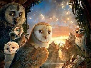 У російському прокаті лідирує фільм про сов У російському прокаті лідирує фільм про сов