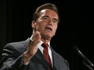 Шварценеггер відмовився захищати тварин від видалення голосових зв'язок та кігтів Шварценеггер відмовився захищати тварин від видалення голосових зв'язок та кігтів