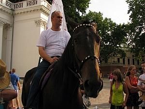 В Одесі відмовились реєструвати кандидата на посаду мера міста через коня В Одесі відмовились реєструвати кандидата на посаду мера міста через коня